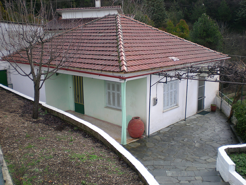 Project Ζίτσα
